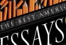 The Perpetual Importance Of The Essay