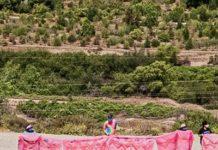 Most Climate Change Art Doesn’t Involve Splashing Oil Or Tomato Soup