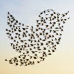 A Sudden Shift In Culture Of Twitter Users