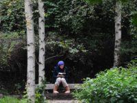 No Wall Between Fiction And Reality. Our Brains Exchange Notions Between The Two