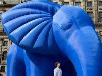 “The World Doesn’t Need Another Foundation.” This Super-Wealthy Heiress Calls For Structural Change