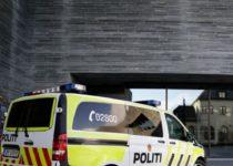 Police Thwart Glue Vandals At Oslo Museum