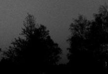 The Luxury Of Believing That Nothing Is True (Tired Yet?)