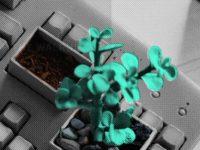 After Our COVID Digital Binge, We Need Analog