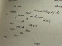 A Prescription For Our Age: Long Poems?