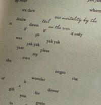 A Prescription For Our Age: Long Poems?
