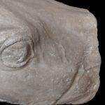 The Vatican Will Return Its Parthenon Fragments To Greece