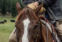 Yellowstone Is A Mouthpiece For Big Meat