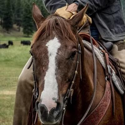 Yellowstone Is A Mouthpiece For Big Meat