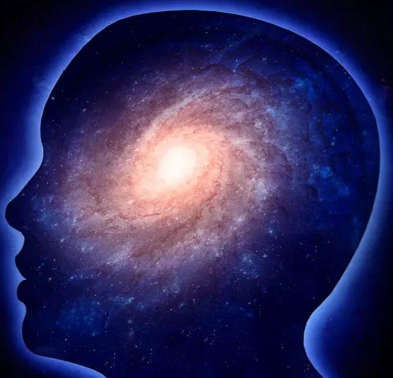 Are Our Brains Quantum Computers?