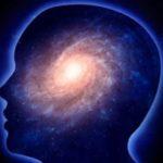 Are Our Brains Quantum Computers?