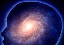 Are Our Brains Quantum Computers?