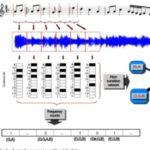 A Scientific Analysis Of How Popular Music Has Changed
