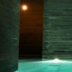 Our Five Senses (Wait, We Actually Have Seven?)