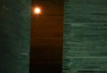 Our Five Senses (Wait, We Actually Have Seven?)