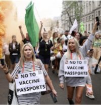Are Public Protests Undemocratic?