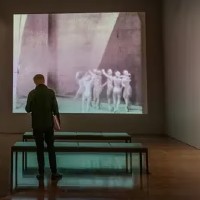 Now You Can See The Leonid Massine Ballet With Sets And Costumes By Matisse