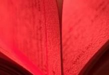 Outrage Spreads At An Author’s Faked Death And Recent Online Resurrection