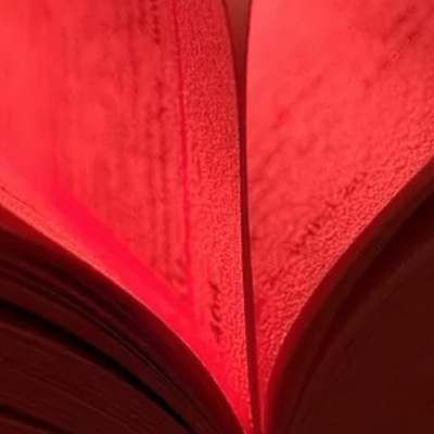 Outrage Spreads At An Author’s Faked Death And Recent Online Resurrection