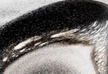 Writing Kills Memory, And So Does Google