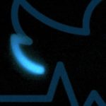 Elon Musk Is Ending Twitter’s Use To Publications