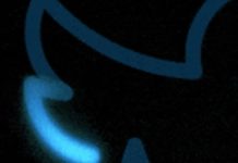 Elon Musk Is Ending Twitter’s Use To Publications