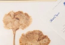 Joan Didion’s Archives Are Going To The New York Public Library