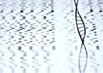 The Age Of Incrementalism: Have We Got Stuck In A Rut?