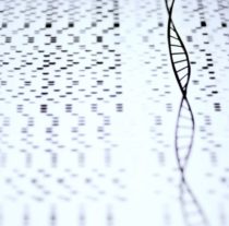 The Age Of Incrementalism: Have We Got Stuck In A Rut?