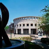 Orlando Museum Of Art’s Accreditation Is Now At Risk Over The Basquiat Show Fiasco