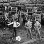 US Museums And Universities Have Thousands Of Indigenous People’s Remains, Three Decades After A Law Required Their Return