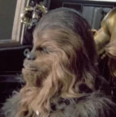 Sale Of Chewbacca Actor’s Memorabilia Halted After His Widow Makes A Plea