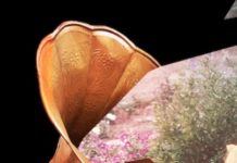 Why Music Can Cue Such Intense Memories