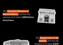 A New Database Shows American Museums And Universities That Still Hold Native American Artifacts That Were Supposed To Be Returned