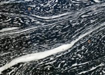 Where Emotions Live In A Culture