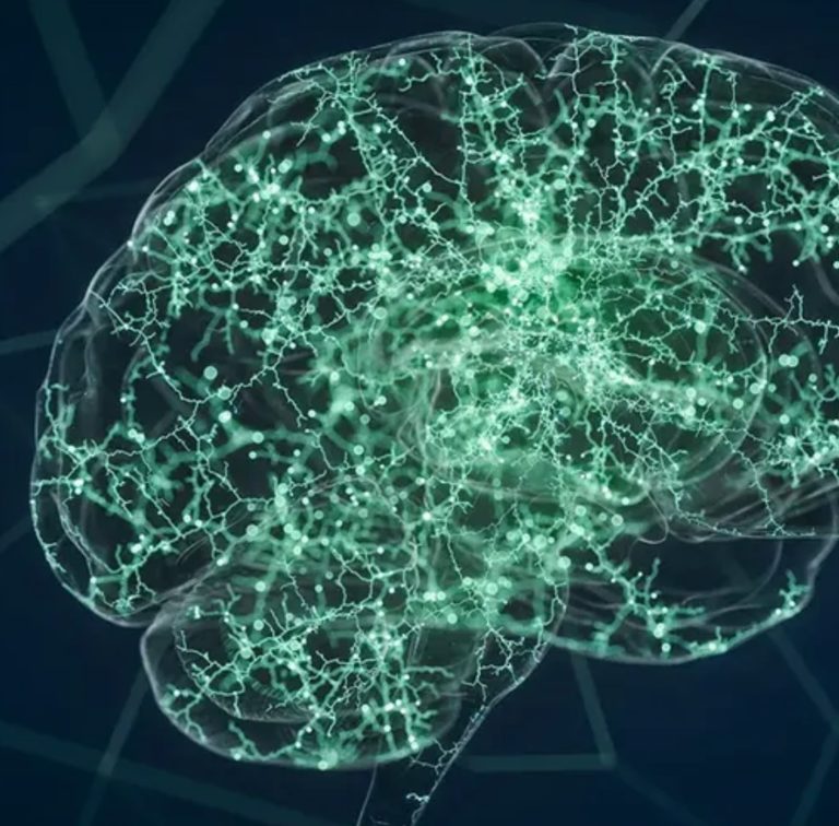 We’re Learning Lots About How Brains Work. Here Are Three Misconceptions