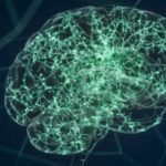 We’re Learning Lots About How Brains Work. Here Are Three Misconceptions