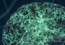 We’re Learning Lots About How Brains Work. Here Are Three Misconceptions