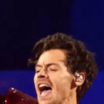 How Harry Styles Caught Our Collective Mood