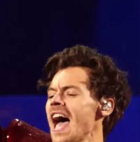 How Harry Styles Caught Our Collective Mood
