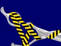 The Corrosive Effects Of Licensing Culture