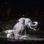 This Circus, Having Stopped Using Elephants, Is Using Holographs Of Them Instead