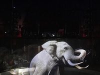 This Circus, Having Stopped Using Elephants, Is Using Holographs Of Them Instead