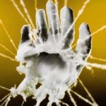 Rare Old Books Should Be Handled Bare-Handed, Not With Gloves. The Public Will Not Accept This.