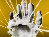 Rare Old Books Should Be Handled Bare-Handed, Not With Gloves. The Public Will Not Accept This.