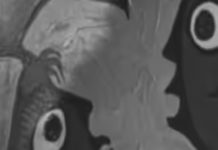 Canadian Police Make Arrests In Years-Long, Massive Forgery Investigation