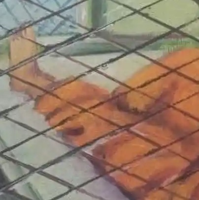 What Reason Is There For Not Letting Former Guantanamo Prisoners Take Their Art With Them?