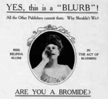 The Scourge Of Book Blurbs