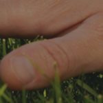So Many Of Our “Experiences” Are Abstract. What Happens When We Lose Our Connections To Sensory Touch?