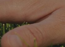 So Many Of Our “Experiences” Are Abstract. What Happens When We Lose Our Connections To Sensory Touch?